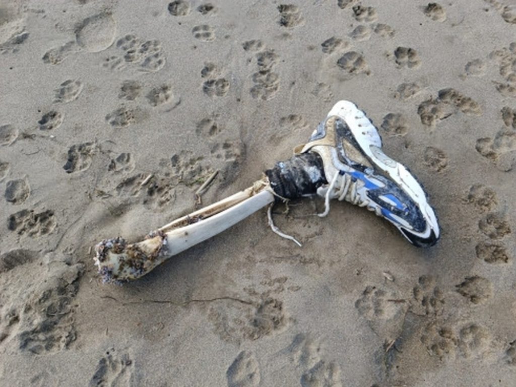 Capaccio Paestum ossa uomo spiaggia licinella