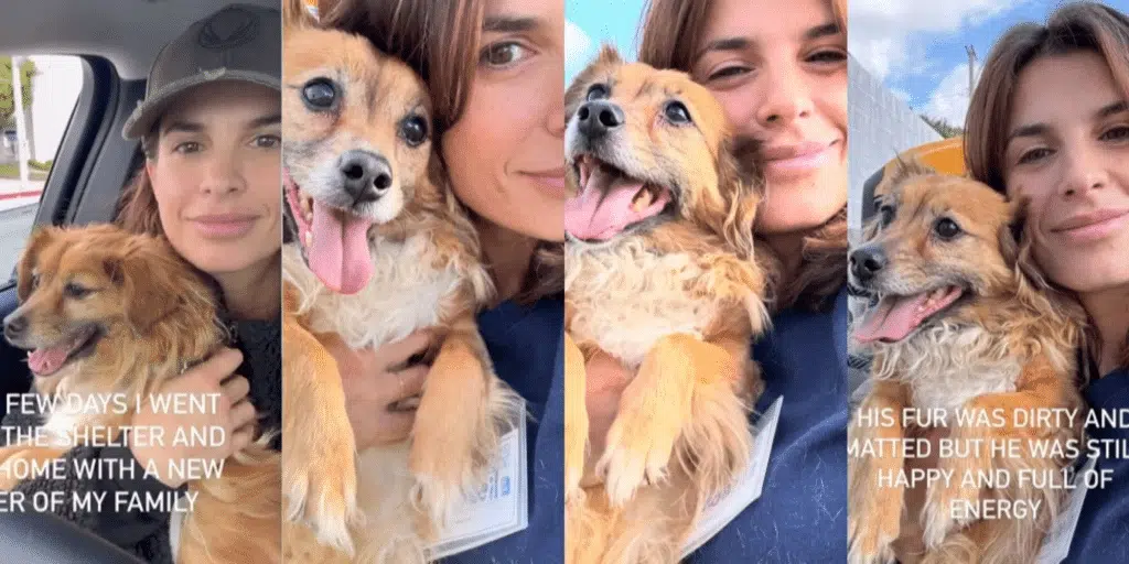 Elisabetta Canalis adotta cane Charlie video commuove fan