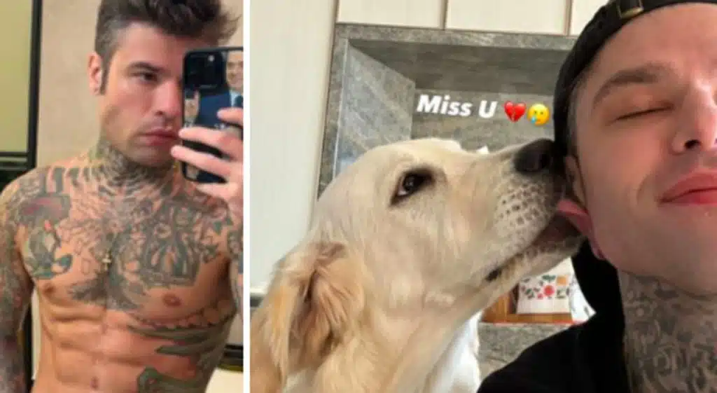 Fedez dedica social Paloma