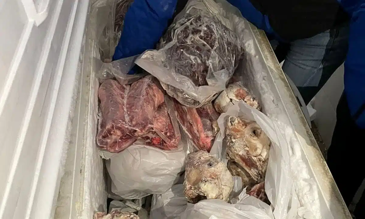 Napoli sequestro carne 20 aprile