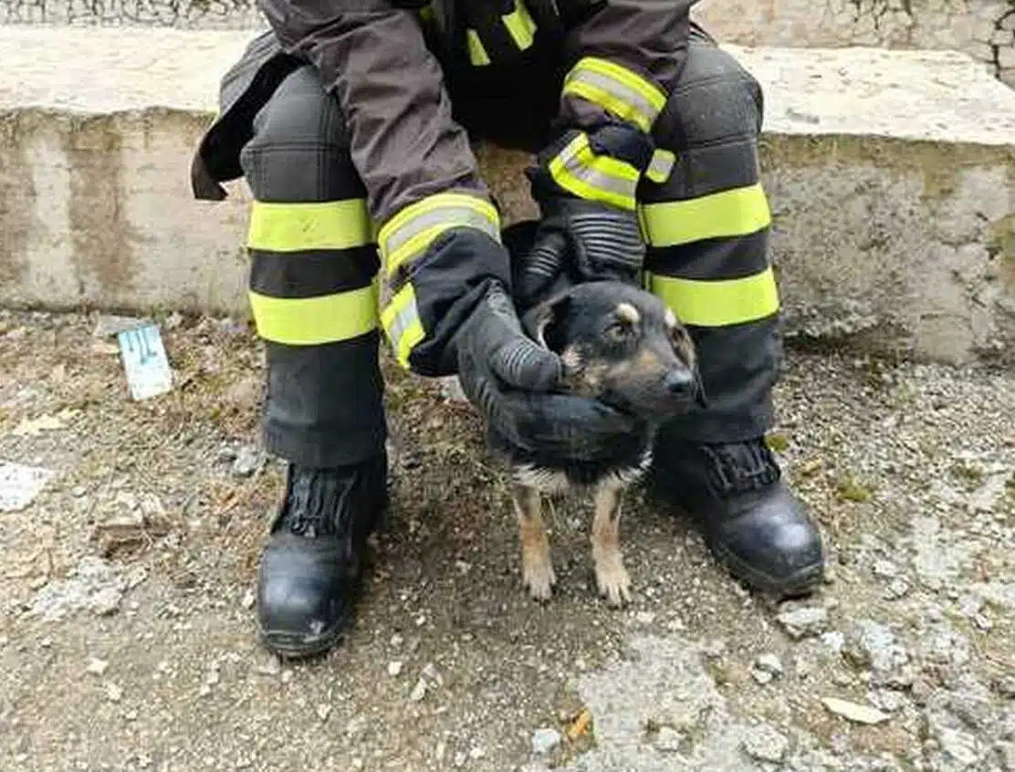 Atripalda cagnolino bloccato fiume Sabato