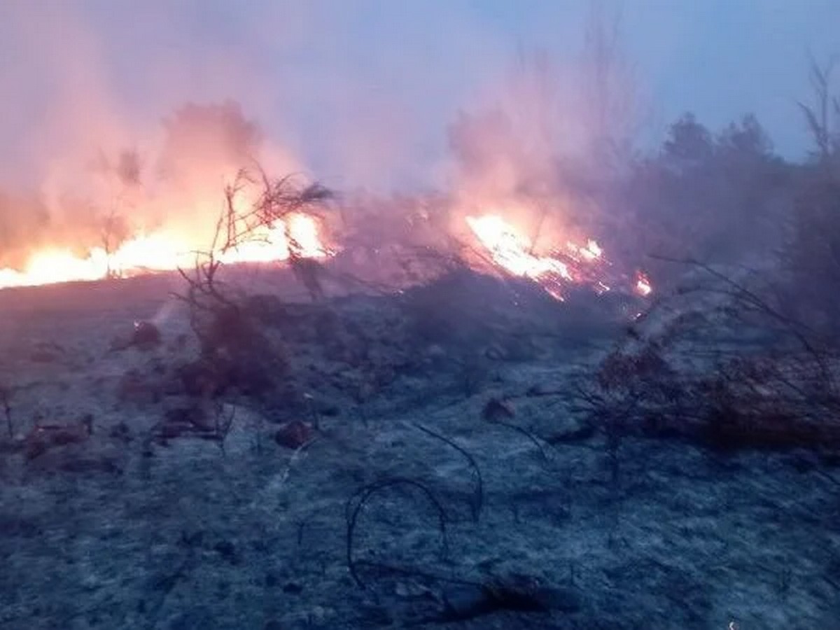 incendio montagna polla ipotesi dolo 16 aprile