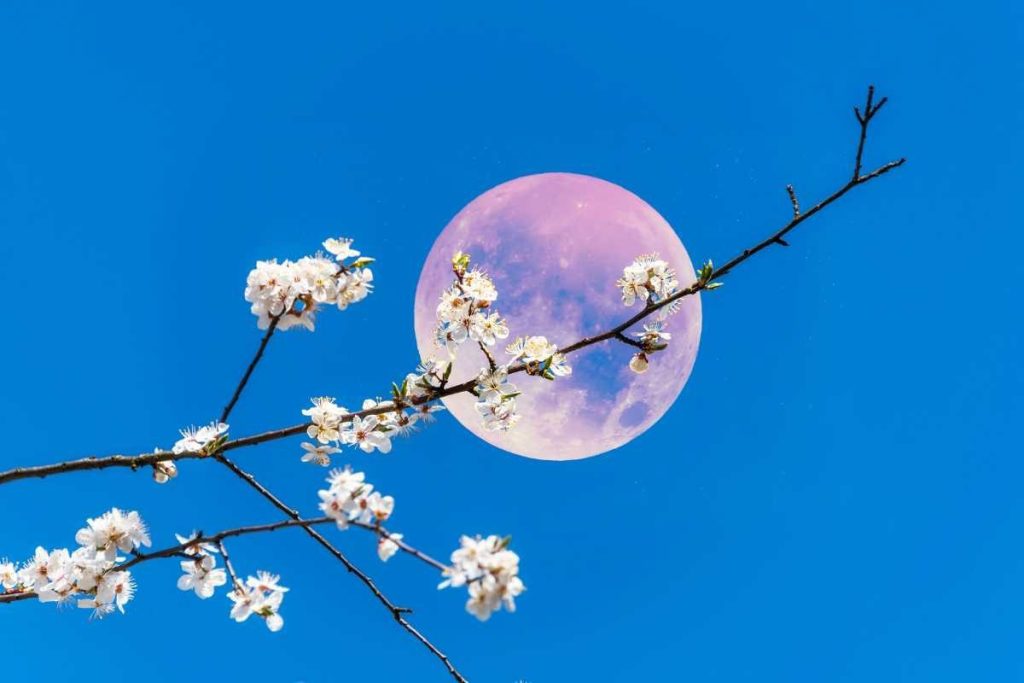 luna piena rosa 24 aprile 2024 a che ora vederla