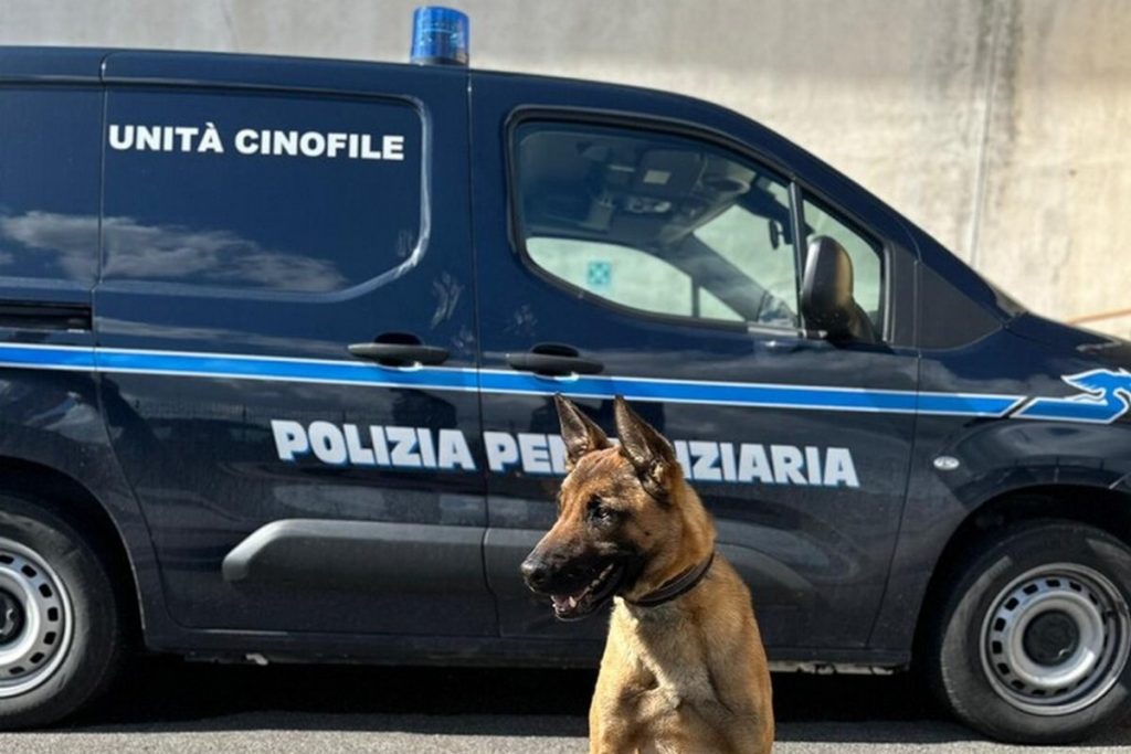 mamma figlia droga pantaloni borsa carcere aversa