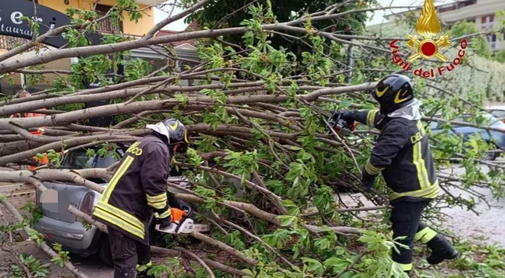 albero crolla auto caserta anziano intrappolato