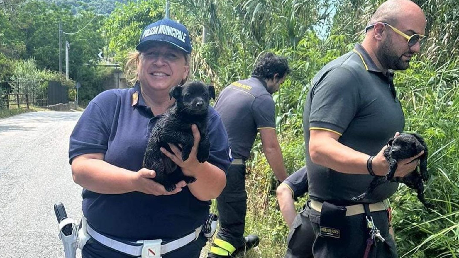 Agropoli salvati cagnolini abbandonati