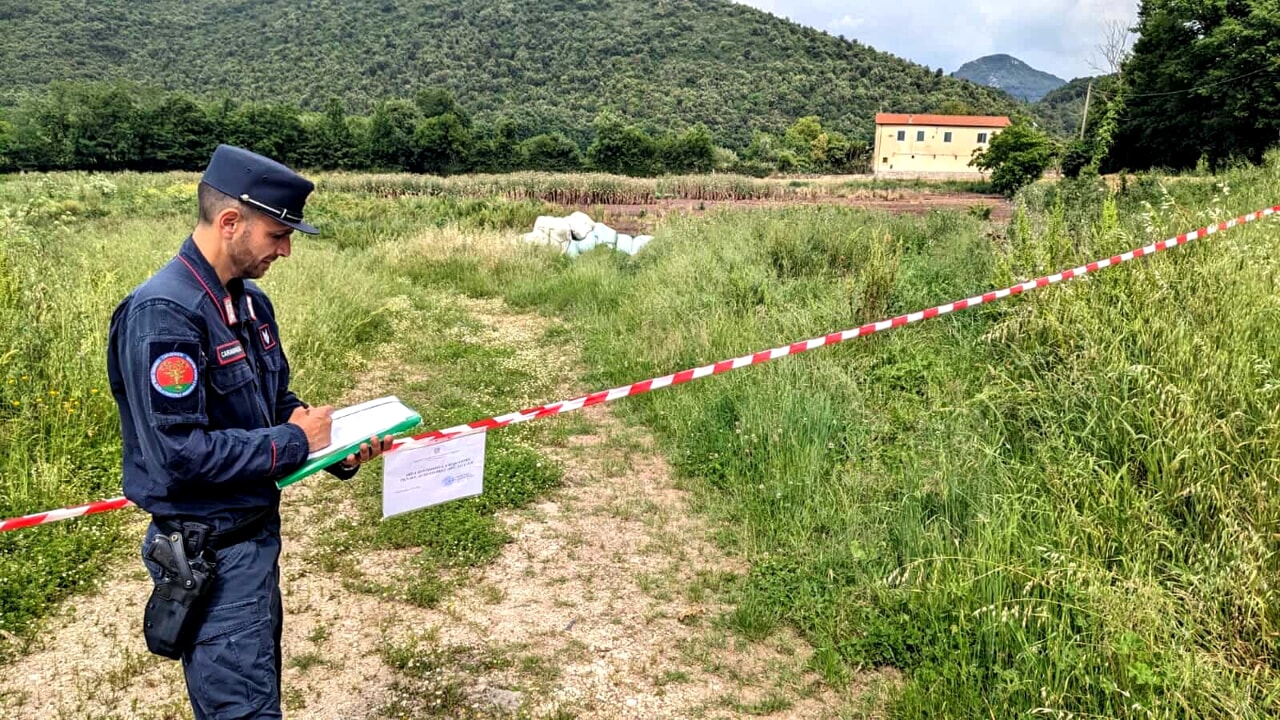 roccaromana sequestrata azienda bufalina