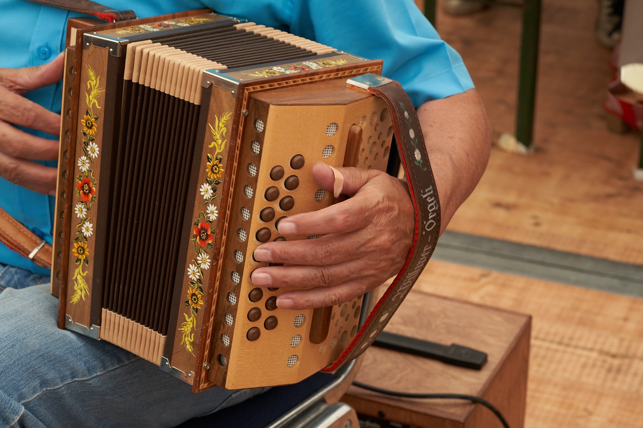 san giovanni a piro festival meridionale organetto