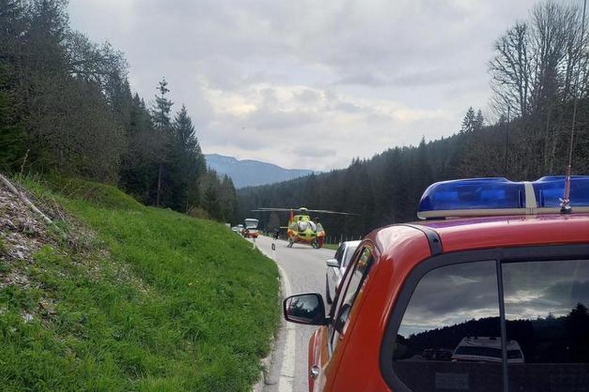 trentino moto contro capriolo morto