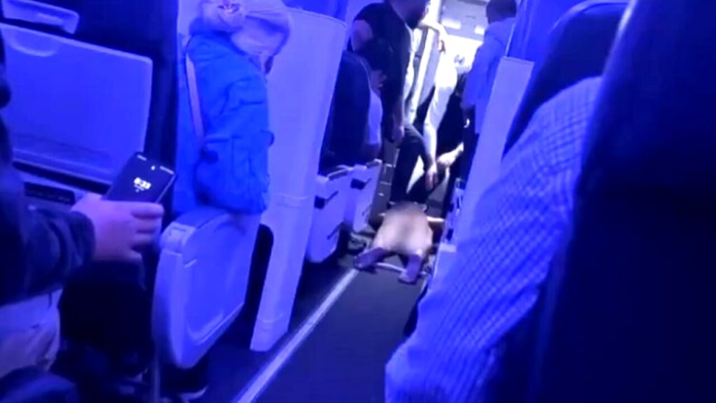 uomo corre nudo aereo australia arrestato