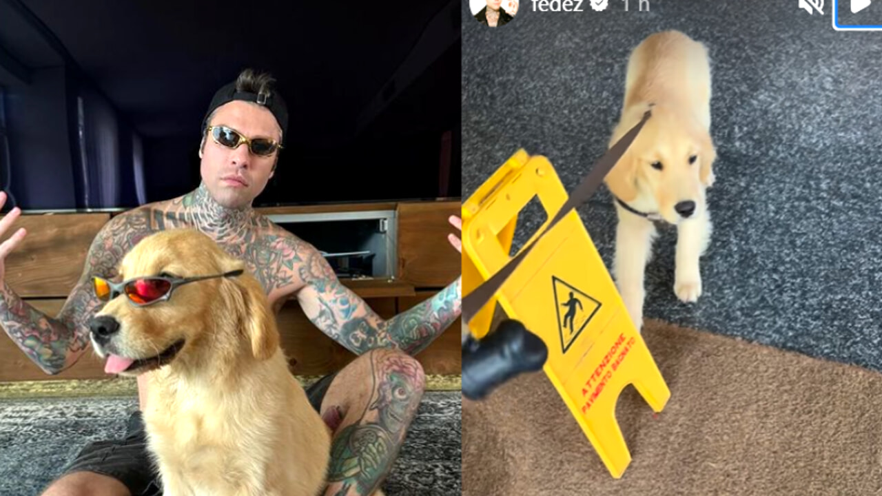 Fedez nuovo cucciolo nome particolare