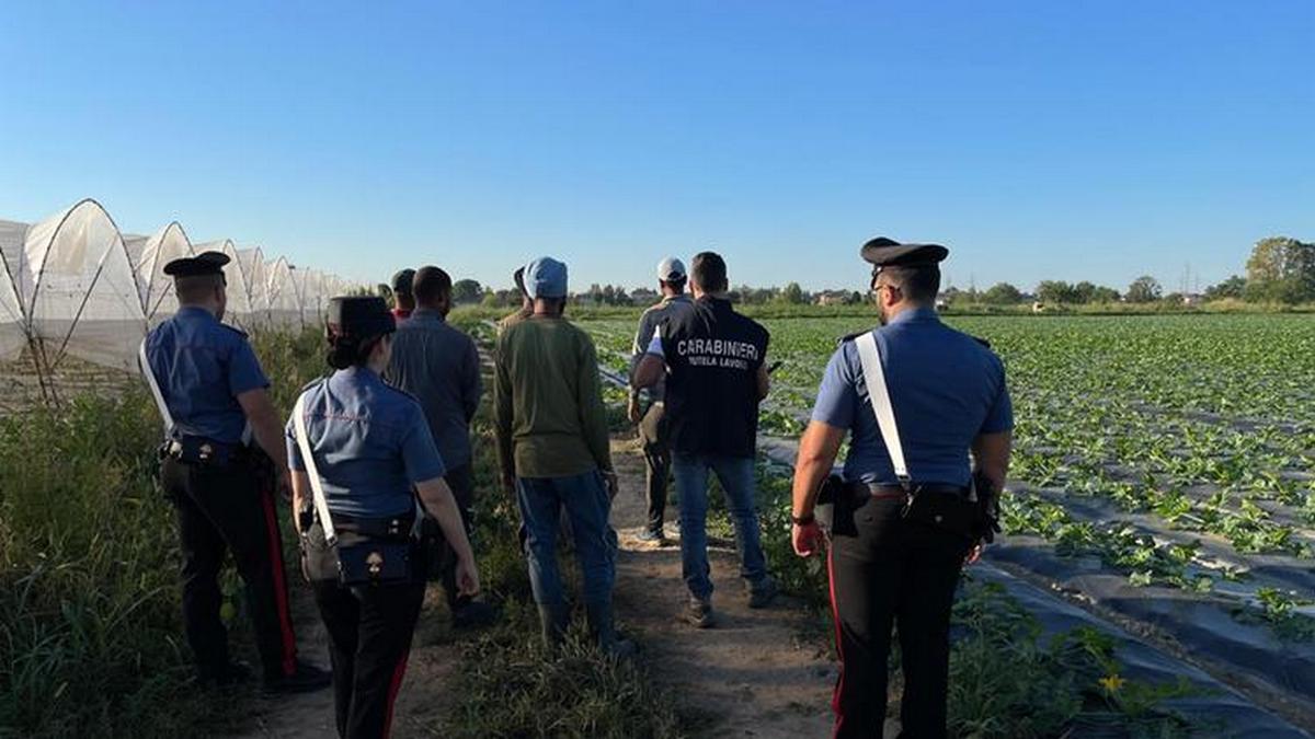 caporalato provincia caserta arresti