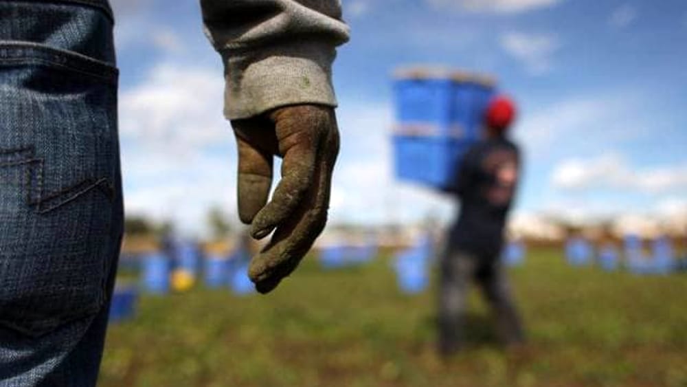 Latina operaio gravemente ferito incidente lavoro