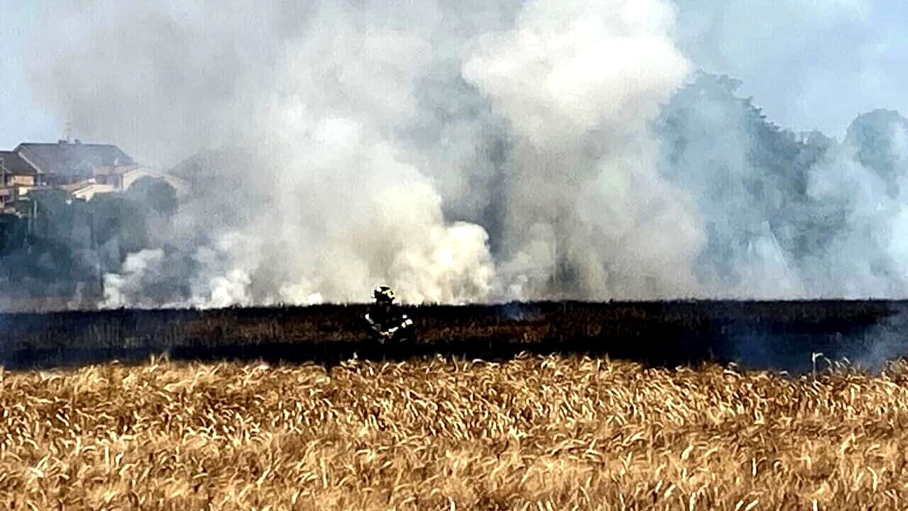 caserta-incendio-distrugge-campo-grano