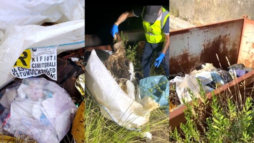 san pietro infine cane decapitato abbandonato container