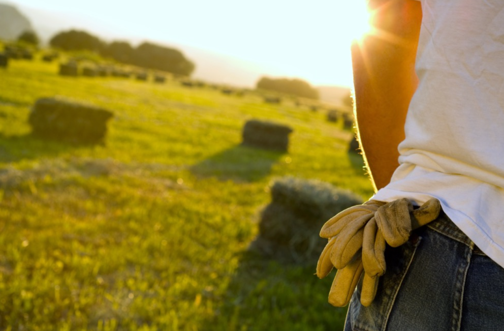 Campania vieta lavori edili campi ore calde