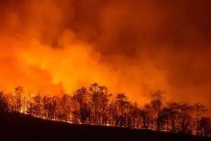 sardegna incendi nuoro orontelli