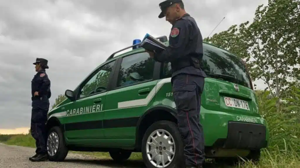 sequestro aziende agricole caserta irregolarità ambientali