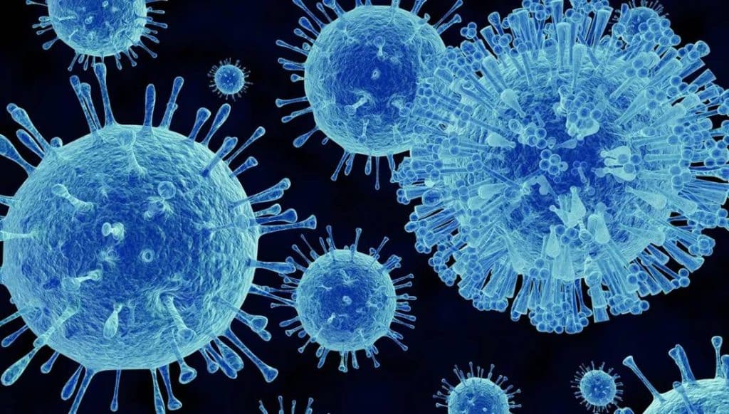 Nove escursionisti infezione norovirus