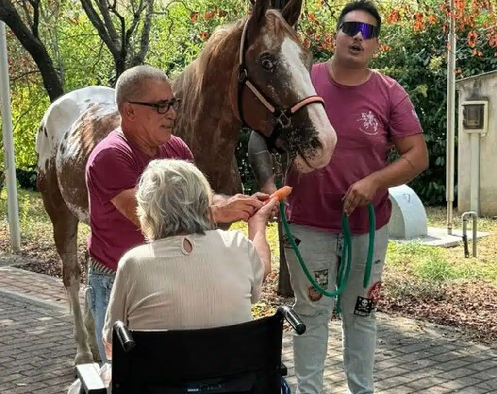 prato realizza ultimo sogno accudire cavallo prima morire storia aurora