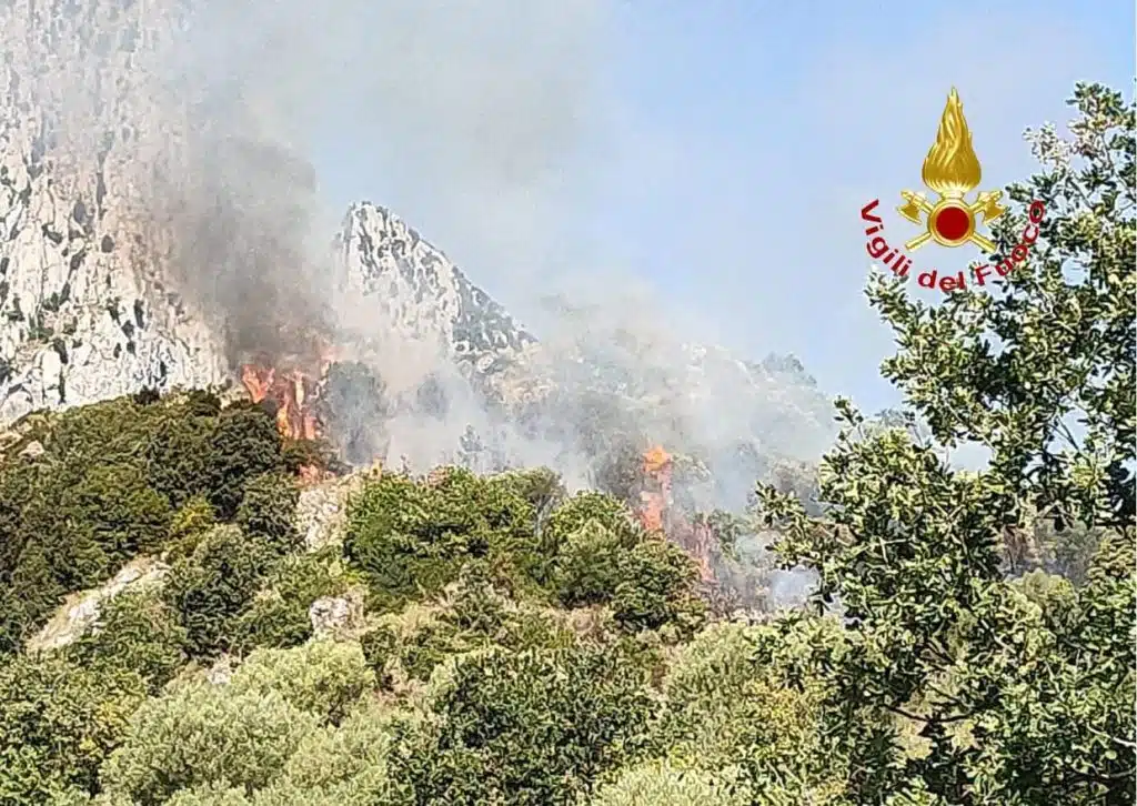 Incendi boschivi ferragosto infuocato Salerno