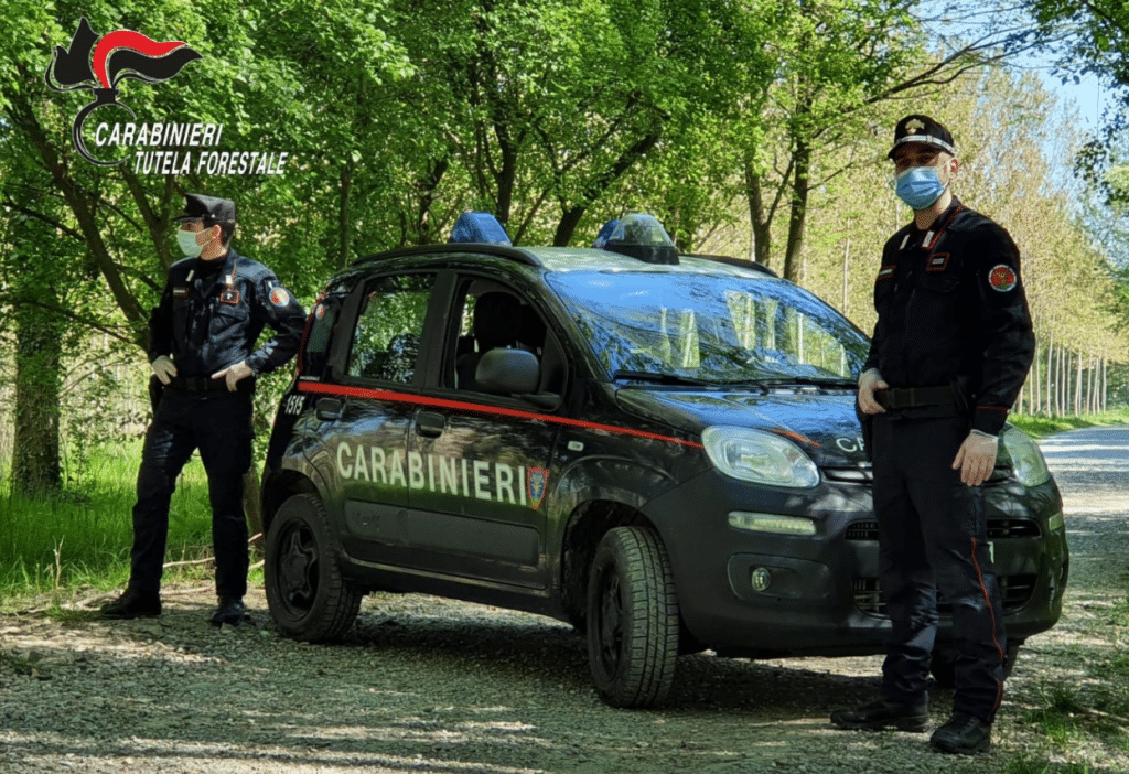 Atena Lucana incendio arrestato piromane