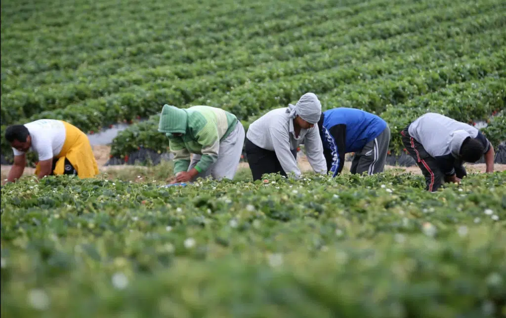 Caporalato Lodi indagato imprenditore