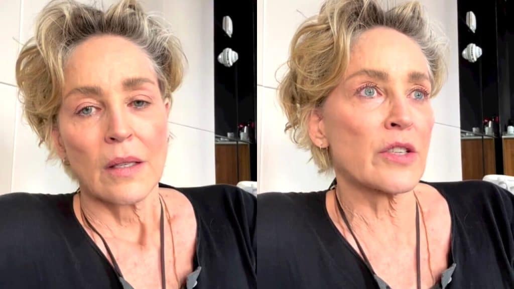 Sharon Stone dramma ictus rinascita