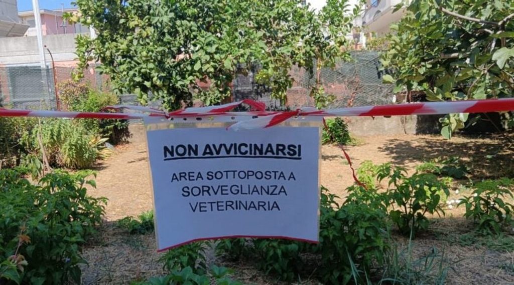 west nile uccello positivo agropoli