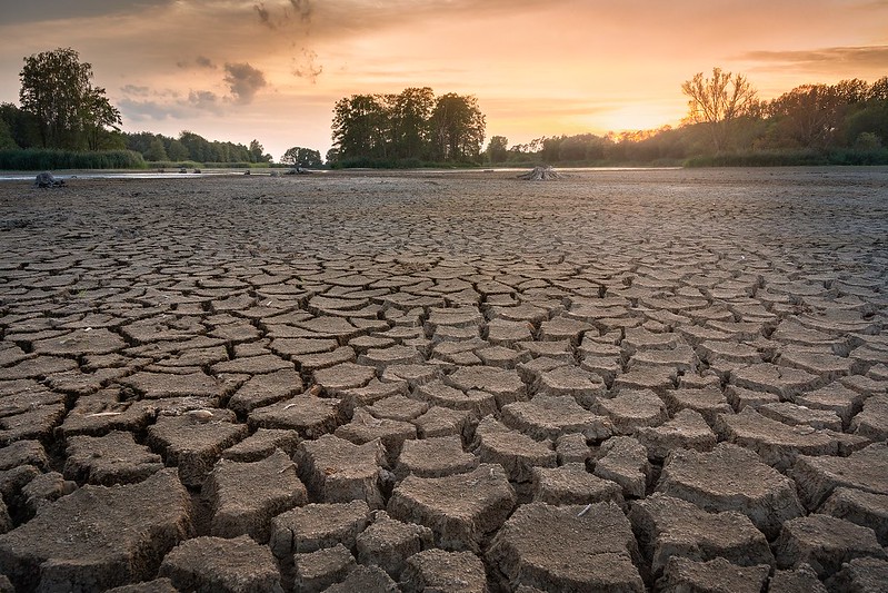 ferragosto no water day