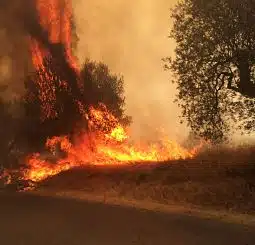 Vasto incendio Catania cimitero Librino