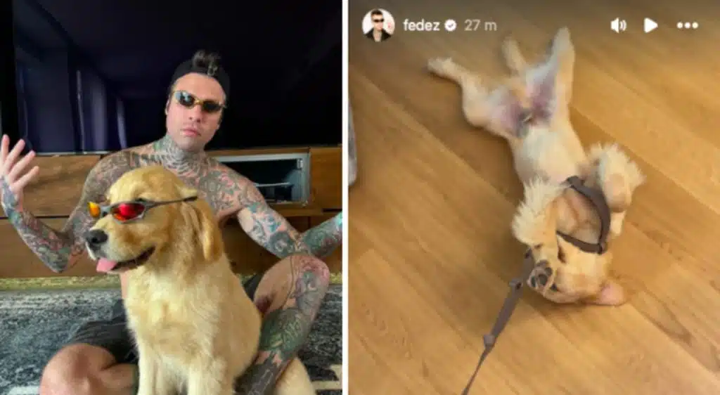 fedez marachelle silvio