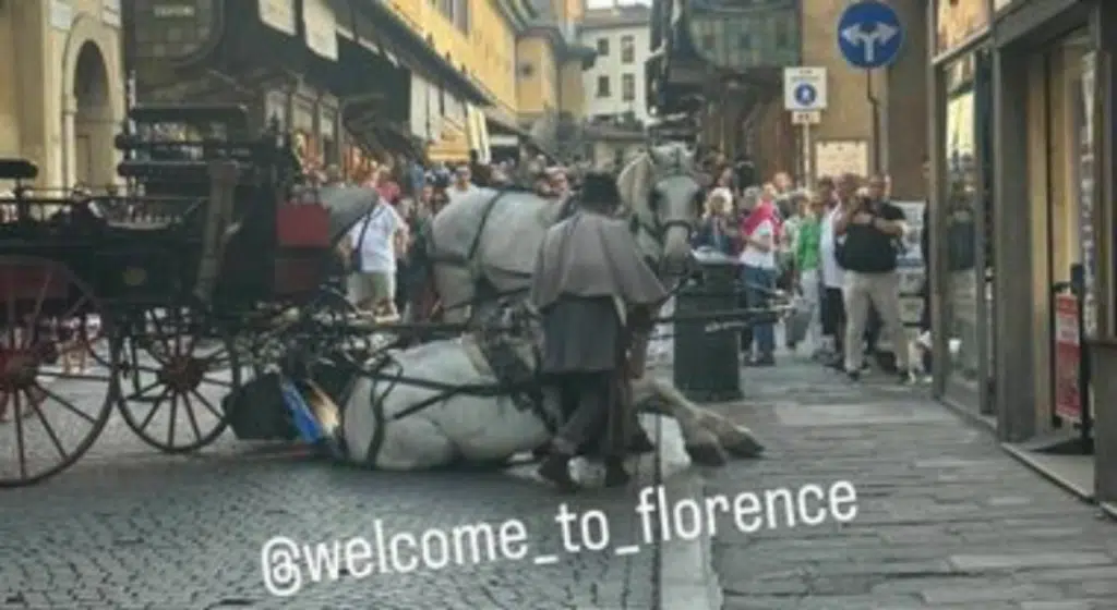 Firenze, cavallo finisce a terra su Ponte Vecchio