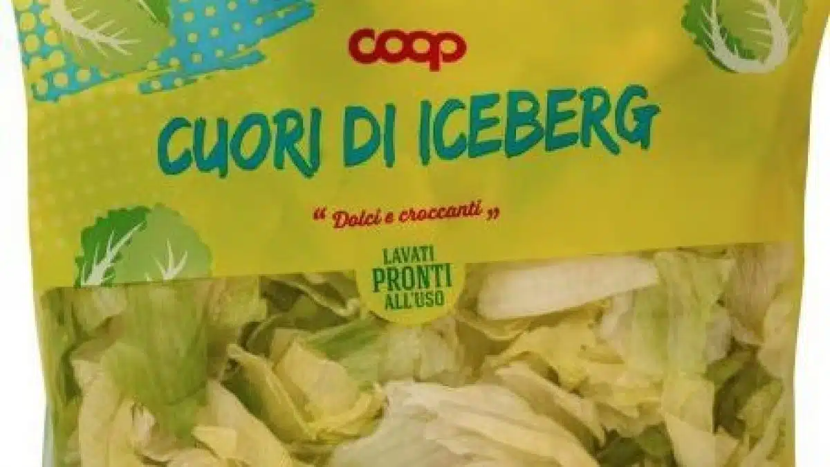 Insalata in busta, nuovi richiami per rischio Listeria: l’elenco dei lotti da non consumare