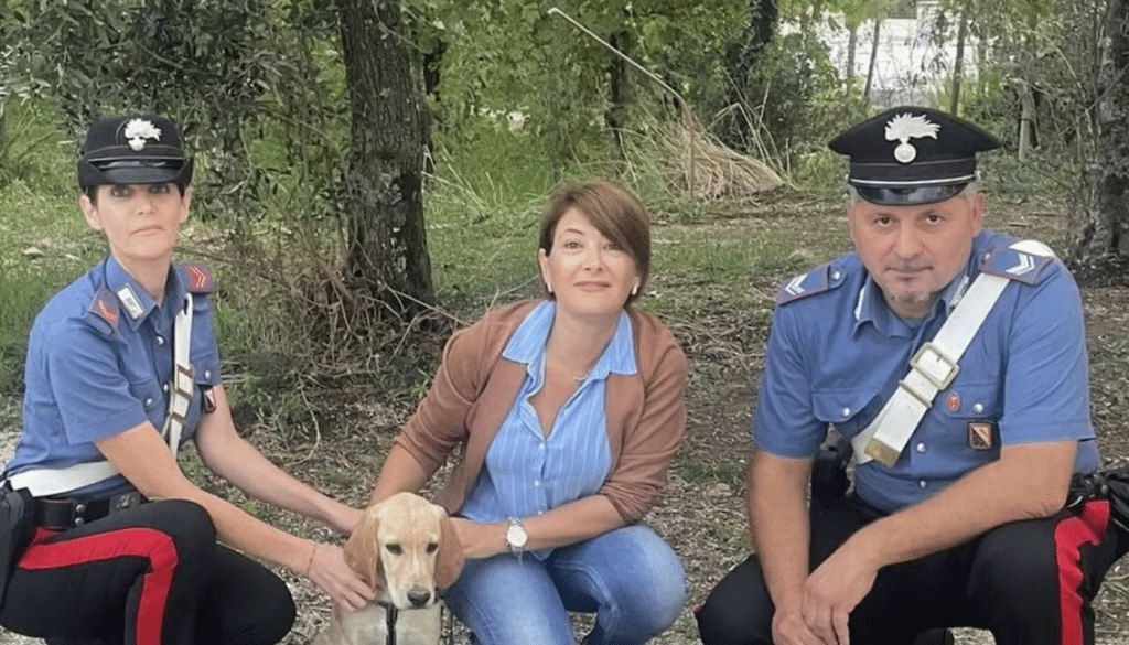 Sessa Aurunca, cane disperso ritrovato grazie al microchip