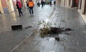 Napoli turista ferita testa