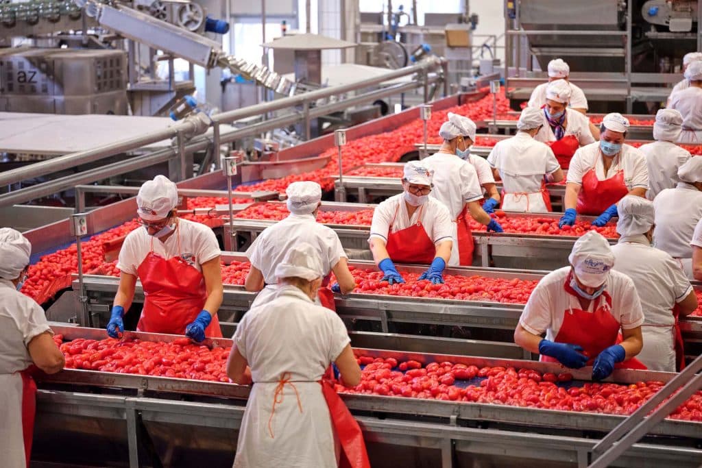 striano operaio impigliato macchinario fabbrica pomodori senza contratto