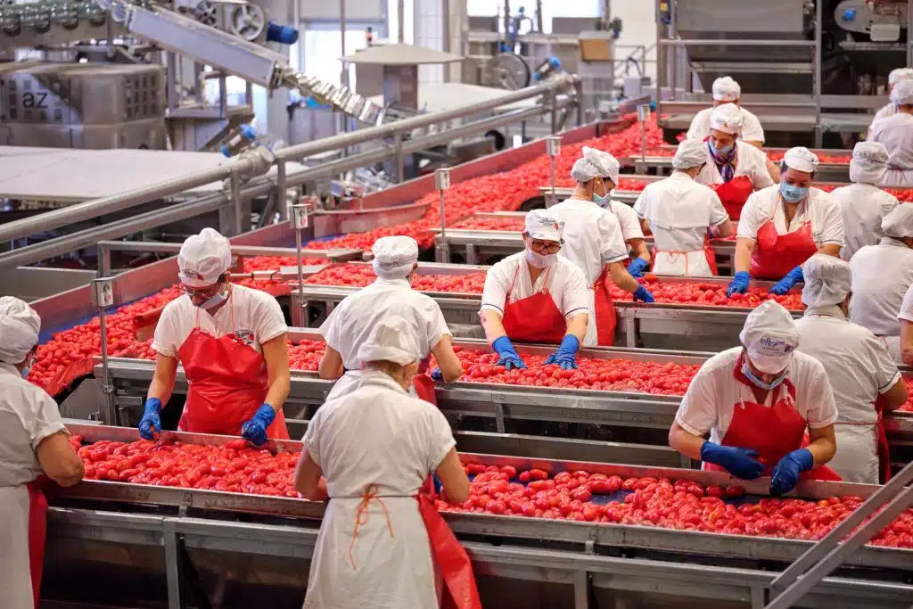 striano operaio impigliato macchinario fabbrica pomodori senza contratto