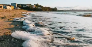 coste Campania record illegalità ambientali 