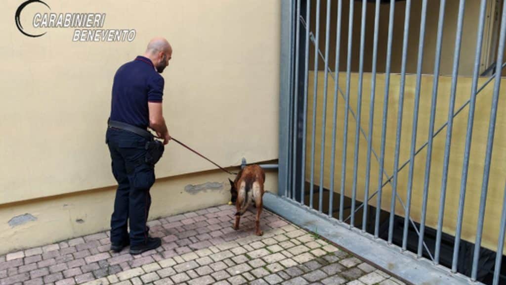 controlli scuole benevento hashish