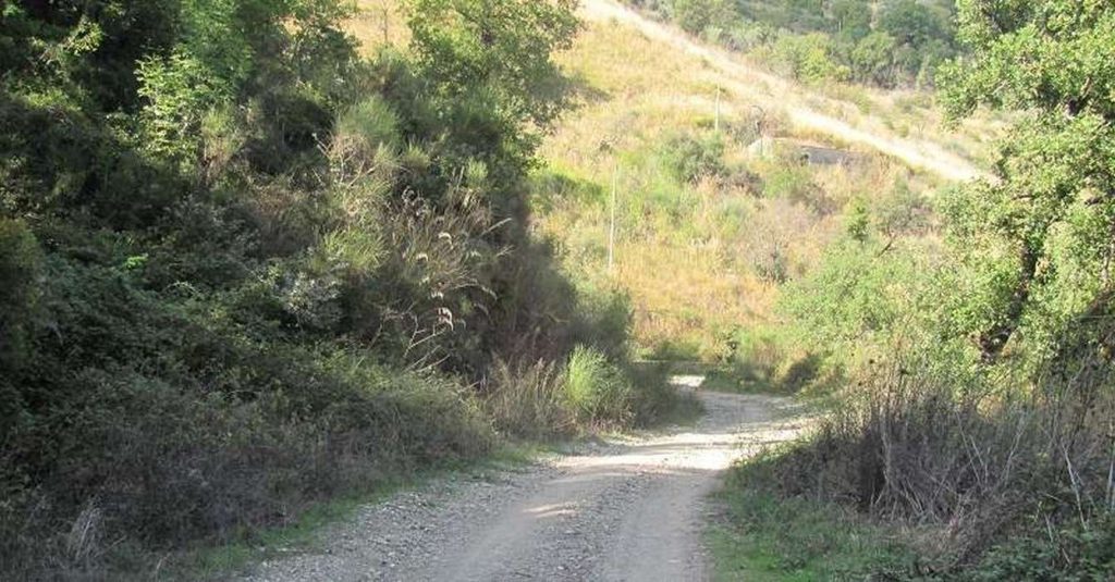 strada fantasma celso-pollica confermato danno erariale