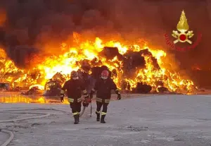 Incendio rifiuti diossina allevamento serre