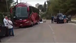 otranto ciclista investita bus turisti morta