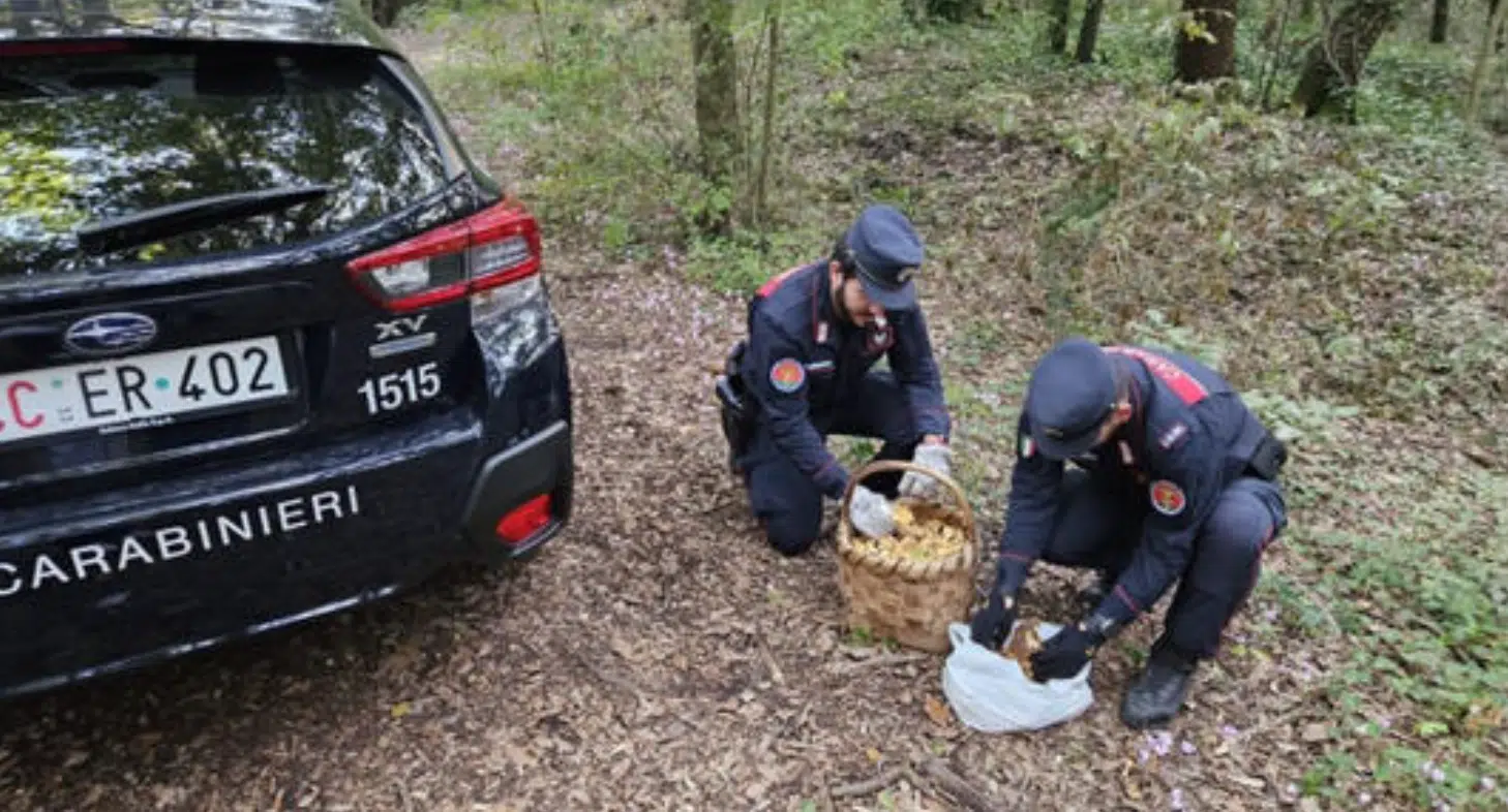 Caserta raccogliere funghi Oasi Wwf denunciato