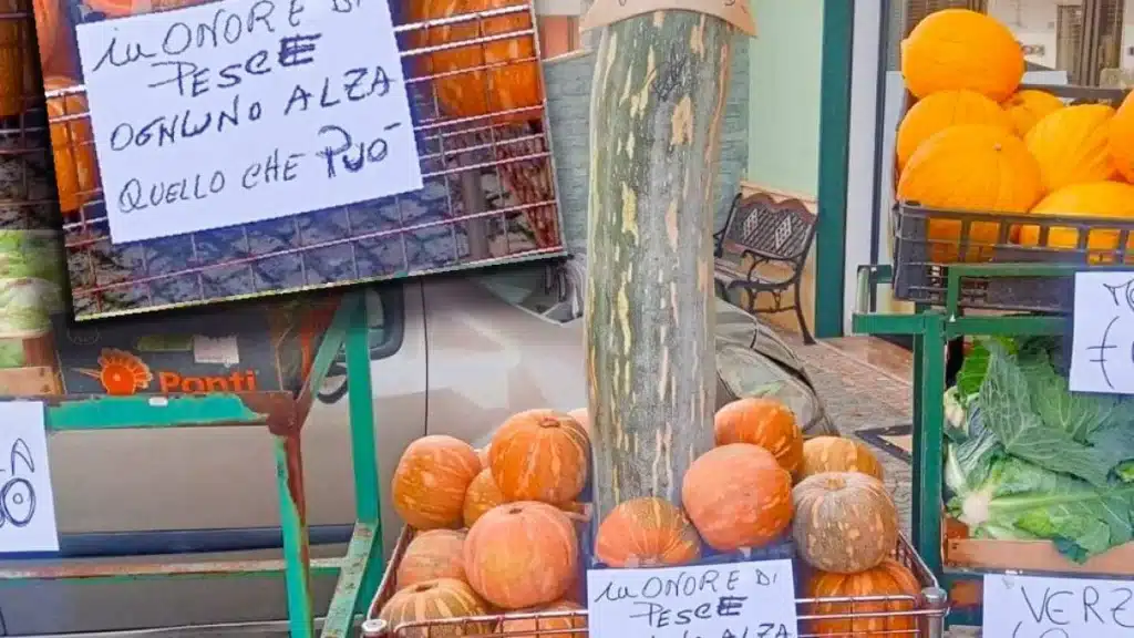 Calvi Risorta Pulcinella Gaetano Pesce zucca