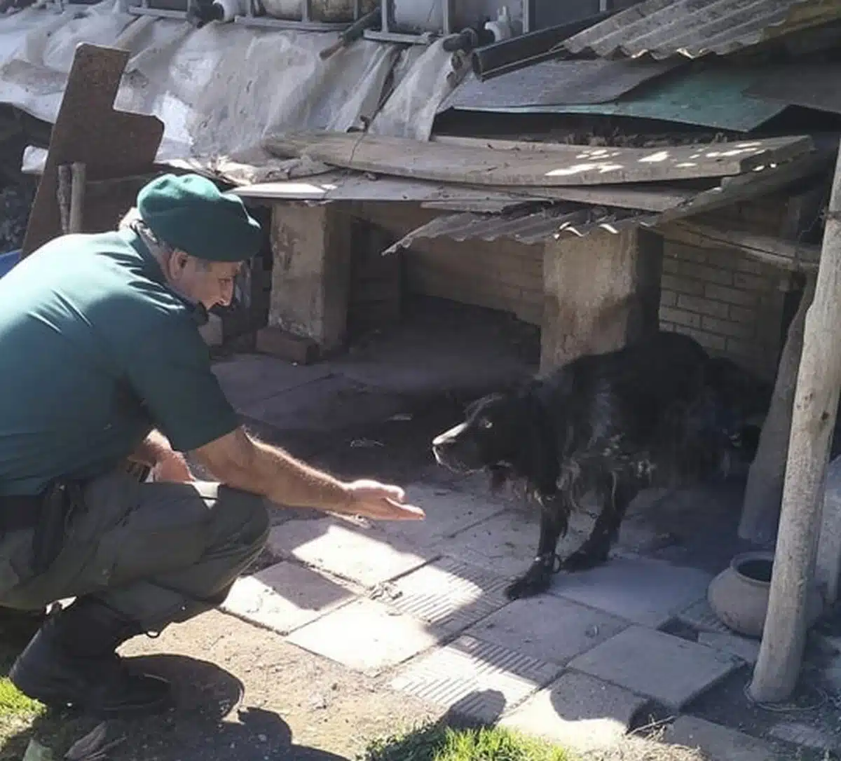 cava de' tirreni cani legati catena