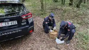 caserta raccoglie funghi oasi wwf denunciato