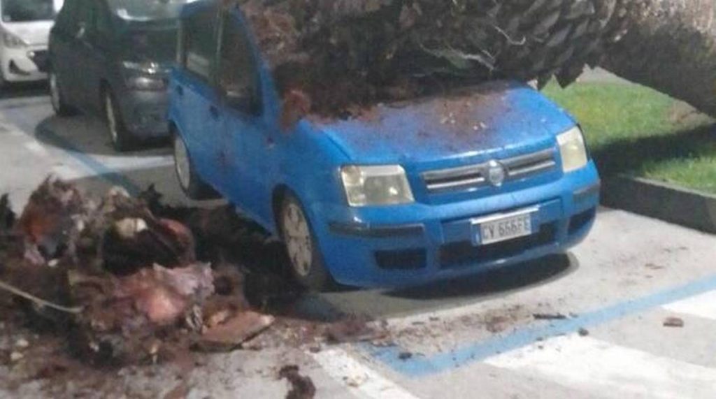 albero distrugge auto forio ischia