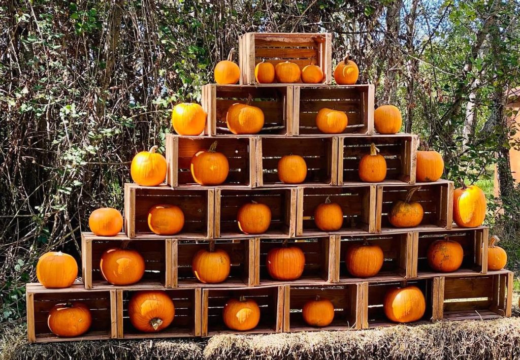 Eboli, tutto pronto per la sesta edizione della Terra delle zucche