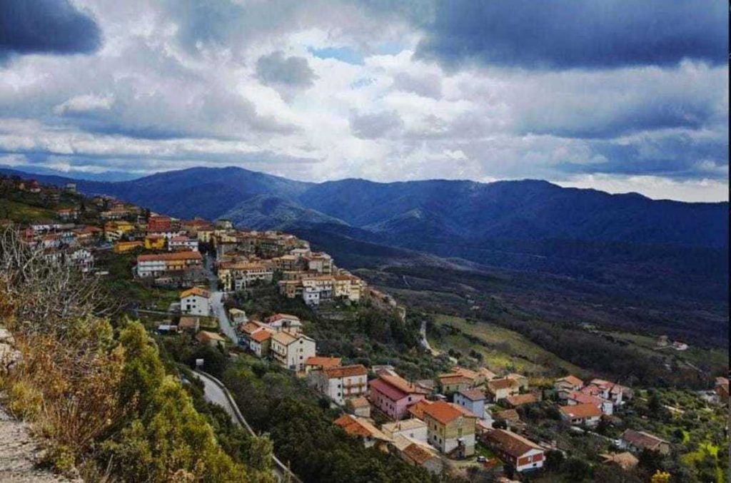 monteforte cilento anziano ferito lite